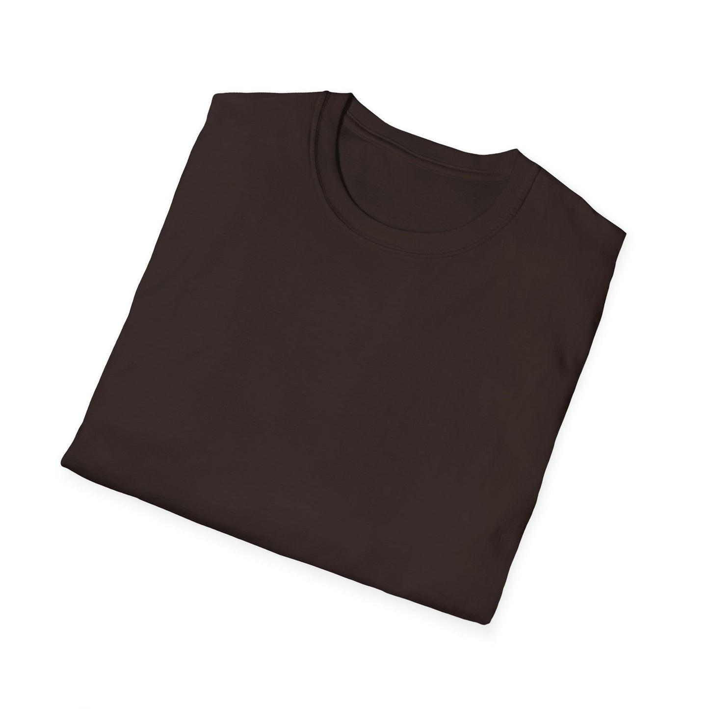 Walk With God Tee(Colors)