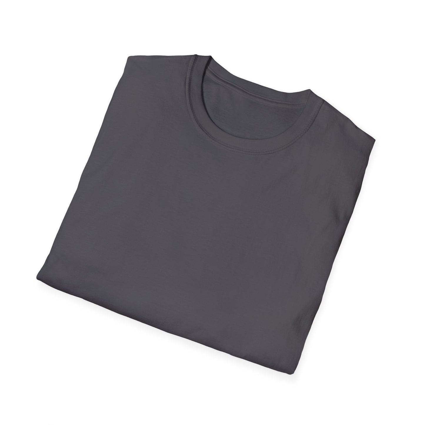 Walk With God Tee(Colors)
