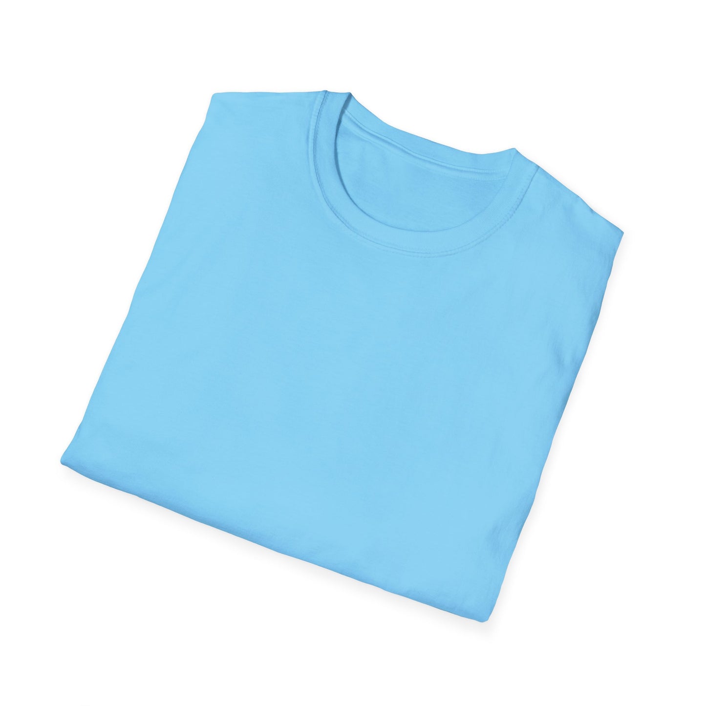 Walk With God Tee(Colors)